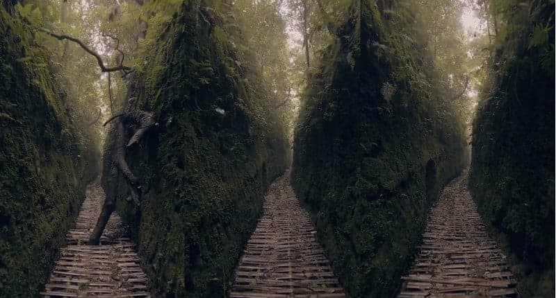 Viral Ada Wisata Lorong Lumut di Lembang, Netizen: Takut Nyasar ke Alam Gaib Viral Ada Wisata Lorong Lumut di Lembang, Netizen: Takut Nyasar ke Alam Gaib