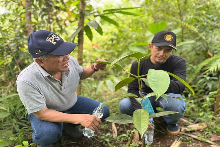 Kementan Tinjau Upland Project di Lebak Banten, Pastikan Program Berjalan Kementan Tinjau Upland Project di Lebak Banten, Pastikan Program Berjalan