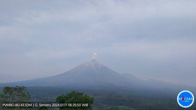 Gunung Semeru Erupsi Rabu Pagi, Tinggi Letusan 600 Meter di Atas Puncak Gunung Semeru Erupsi Rabu Pagi, Tinggi Letusan 600 Meter di Atas Puncak