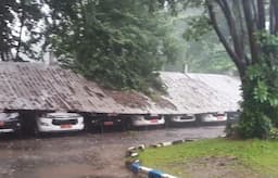 Belasan Pohon Tumbang Diterjang Angin Kencang di Sidoarjo, 7 Mobil Dinas-Rumah Rusak