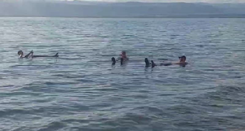 Sensasi Berenang di Laut Mati, Lumpurnya Bagus untuk Kesehatan dan Kecantikan Kulit 