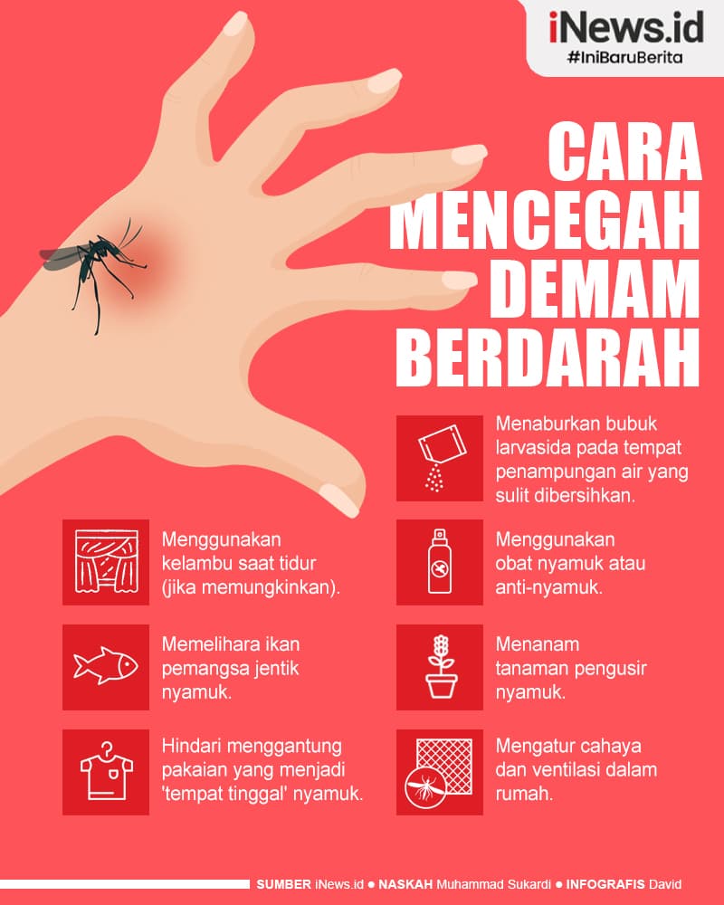 Infografis Kasus DBD di Indonesia Naik, Berikut Cara Mencegahnya