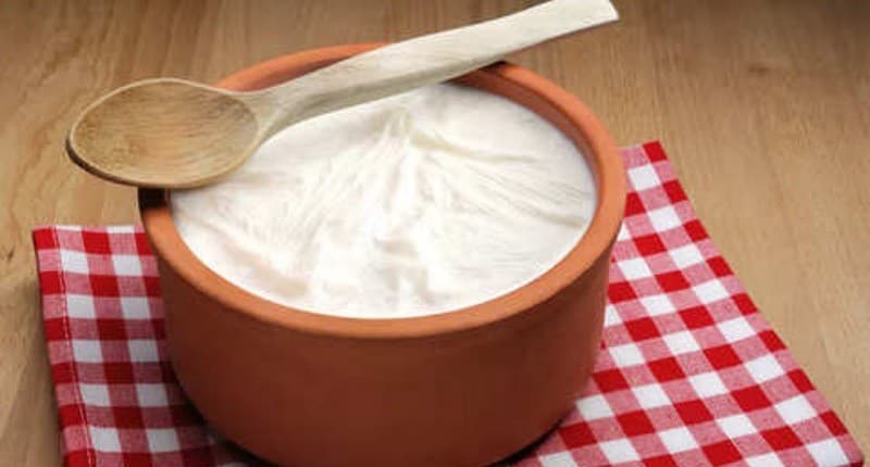 Kasus DBD Tinggi, Konsumsi 5 Makanan Ini Bagus untuk Pasien Demam Berdarah Kasus DBD Tinggi, Konsumsi 5 Makanan Ini Bagus untuk Pasien Demam Berdarah