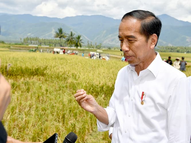 Timnas Indonesia Pesta Gol Vs Vietnam, Jokowi: Semua Rakyat Senang!