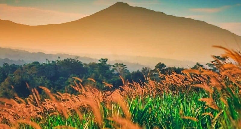 Menikmati Suasana Perdesaan di Bogor, Punya Pemandangan Sunset Menakjubkan Menikmati Suasana Perdesaan di Bogor, Punya Pemandangan Sunset Menakjubkan