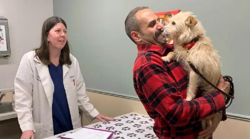 Hilang Berbulan-bulan, Anjing Bertemu Majikan Lagi 3.770 Km dari Rumah Hilang Berbulan-bulan, Anjing Bertemu Majikan Lagi 3.770 Km dari Rumah
