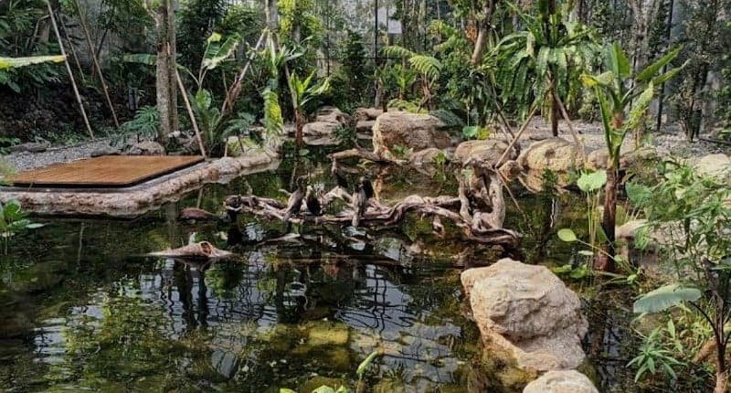 Viral Wisata Animalium BRIN di Cibinong, Unik Bisa Lihat Kehidupan Satwa!
