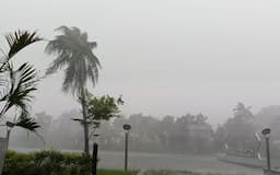 Hujan Deras dan Angin Kencang di Depok hingga Bogor, Pohon Bergoyang Nyaris Roboh