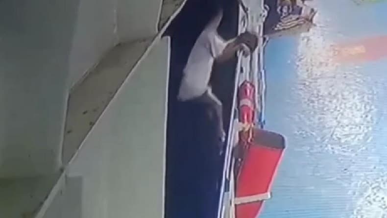 Viral Video Detik-Detik Pria Nekat Lompat ke Laut dari Atas Kapal, Pencarian Masih Dilakukan