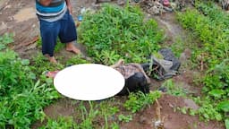 Mayat Perempuan Ditemukan di Bantaran Sungai Cicatih Sukabumi, Dievakuasi ke RSUD Sekarwangi