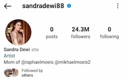 Instagram Sandra Dewi Kembali Muncul, Tampilan Berbeda Postingan dan Following Nol 