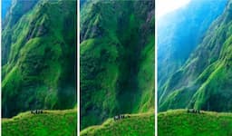 Viral Pemandangan Ala Jurrasic Park di Bukit Trunyan Bali, Jalur Favorit Para Pendaki