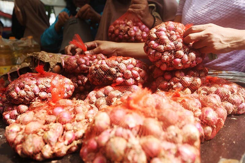 Bapanas Beberkan Potensi Indonesia Jadi Produsen Bawang Merah di Pasar Global Bapanas Beberkan Potensi Indonesia Jadi Produsen Bawang Merah di Pasar Global