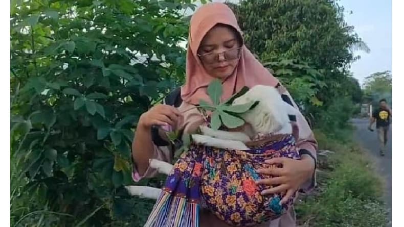 Viral Bidan di Kulonprogo Jalan-Jalan Gendong Anak Kambing, Diperlakukan Mirip Bayi Viral Bidan di Kulonprogo Jalan-Jalan Gendong Anak Kambing, Diperlakukan Mirip Bayi