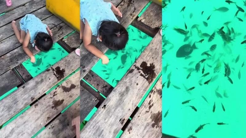 Pesona Pulau Tambelan, Seru Bisa Mancing dari Dalam Rumah Pesona Pulau Tambelan, Seru Bisa Mancing dari Dalam Rumah