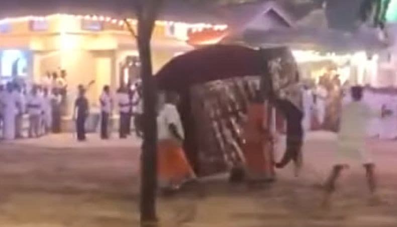 Ngeri! Gajah Ngamuk di Festival Hindu Sri Lanka, 13 Orang Luka Ngeri! Gajah Ngamuk di Festival Hindu Sri Lanka, 13 Orang Luka