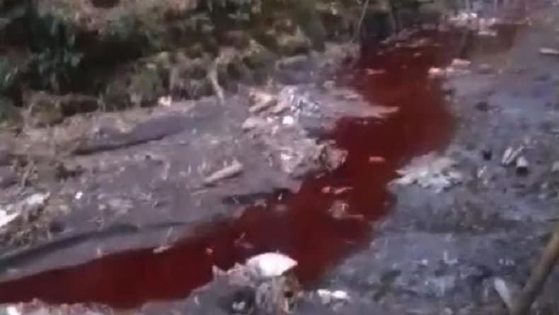 Terungkap, Ini Dugaan Penyebab Air Sungai Berubah Warna Merah seperti Darah di Malang Terungkap, Ini Dugaan Penyebab Air Sungai Berubah Warna Merah seperti Darah di Malang