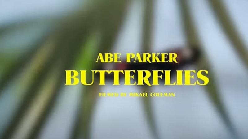 Makna Lagu Butterflies Abe Parker, Rasa Gugup di Kala Jatuh Cinta Makna Lagu Butterflies Abe Parker, Rasa Gugup di Kala Jatuh Cinta