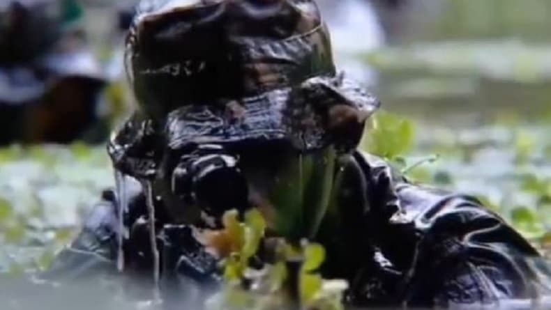 3 Kisah Penyamaran Berani Intel TNI, Jenderal Kopassus Pura-pura Jadi Sopir 3 Kisah Penyamaran Berani Intel TNI, Jenderal Kopassus Pura-pura Jadi Sopir