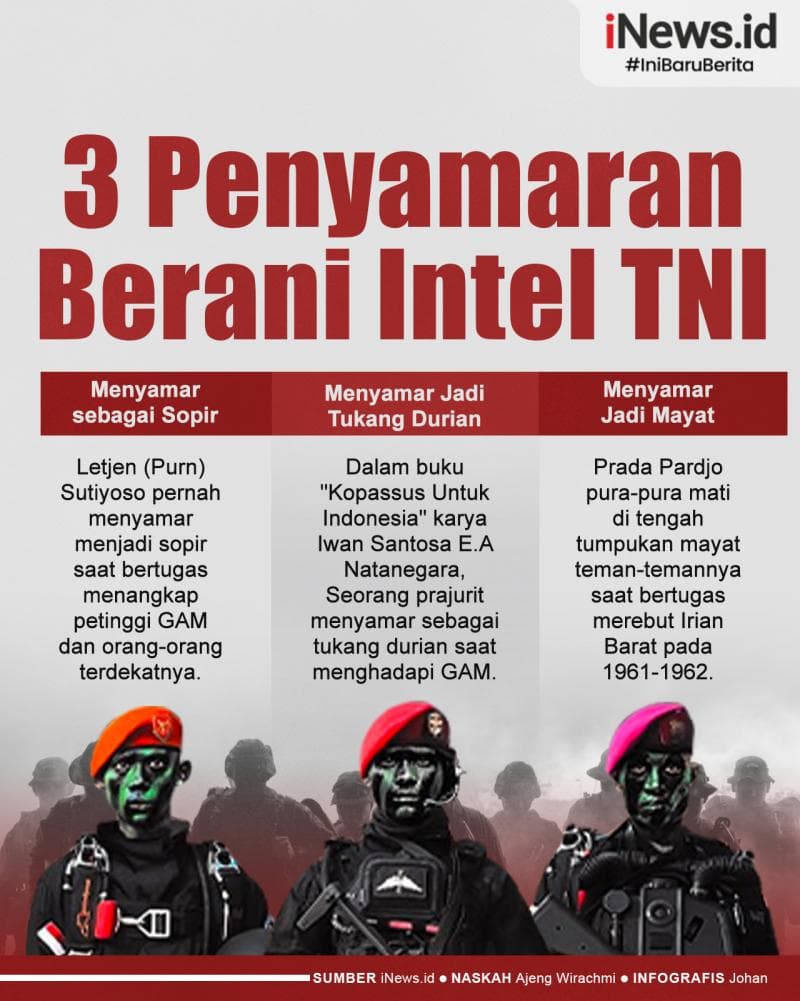 Infografis 3 Kisah Penyamaran Berani Intel TNI Infografis 3 Kisah Penyamaran Berani Intel TNI
