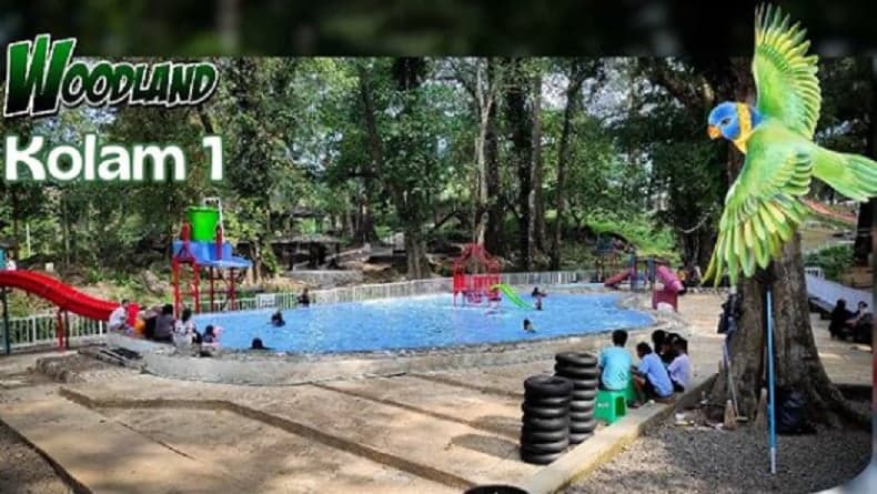 Harga Tiket Masuk Woodland Kuningan, Paket Lengkap Wisata Alam Spot Foto Instagramable Harga Tiket Masuk Woodland Kuningan, Paket Lengkap Wisata Alam Spot Foto Instagramable