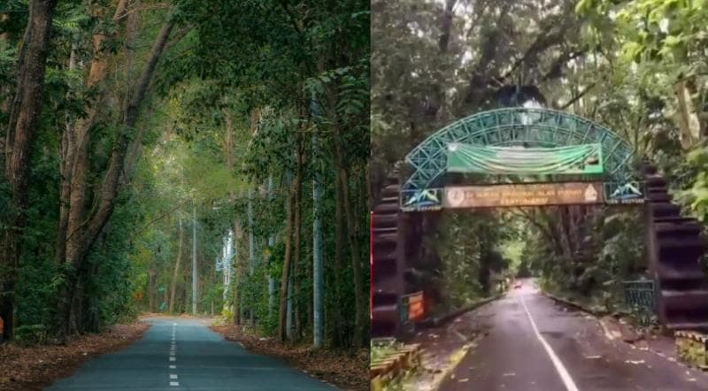 6 Desa di Banyuwangi Harus Dikunjungi Minimal Sekali Seumur Hidup, Singgah ke Hutannya Bikin Merinding 6 Desa di Banyuwangi Harus Dikunjungi Minimal Sekali Seumur Hidup, Singgah ke Hutannya Bikin Merinding