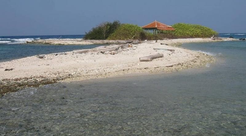 5 Desa di Indramayu Punya Pemandangan Cantik, Suasananya Bikin Kangen Kampung Halaman 5 Desa di Indramayu Punya Pemandangan Cantik, Suasananya Bikin Kangen Kampung Halaman