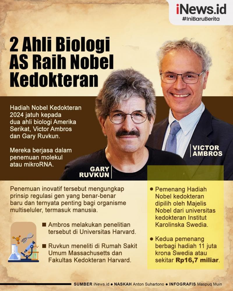Infografis 2 Ahli Biologi AS Raih Hadiah Nobel Kedokteran 2024 Infografis 2 Ahli Biologi AS Raih Hadiah Nobel Kedokteran 2024