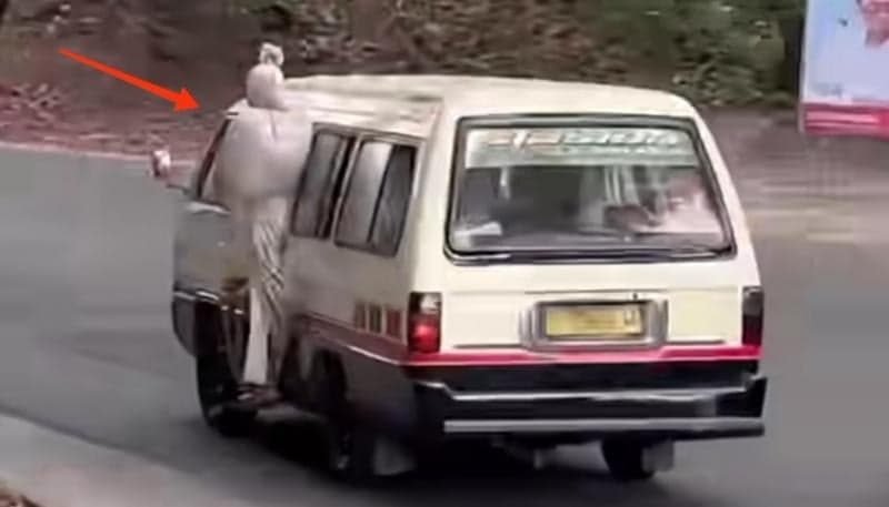 Viral Pocong Naik Angkot, Netizen Malah Ngakak: Baru Kali Ini Penglaris Kelihatan Viral Pocong Naik Angkot, Netizen Malah Ngakak: Baru Kali Ini Penglaris Kelihatan