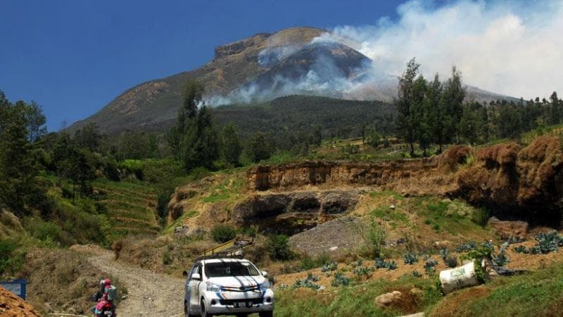 6 Fakta Menarik Gunung Sindoro, Ada Hamparan Bunga Edelweiss hingga Telaga Ajaib di Puncak 6 Fakta Menarik Gunung Sindoro, Ada Hamparan Bunga Edelweiss hingga Telaga Ajaib di Puncak