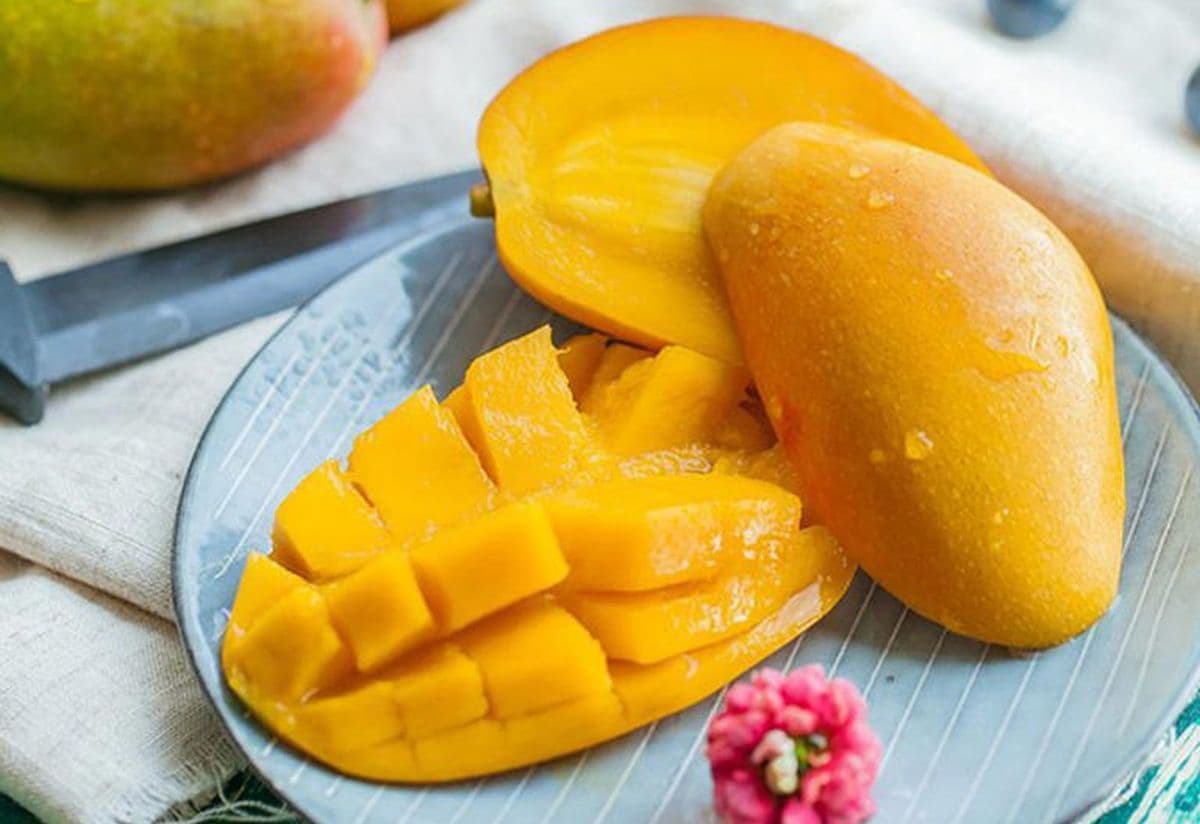 Daftar 7 Mangga Termahal, Ada yang Harganya Rp3 Juta Satu Buah Daftar 7 Mangga Termahal, Ada yang Harganya Rp3 Juta Satu Buah