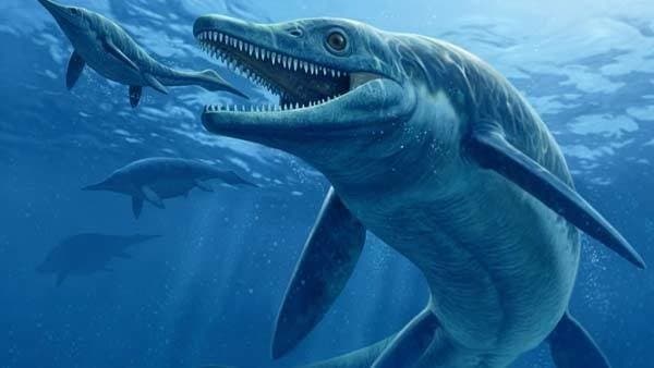 Mengenal Nenek Moyang Lumba-Lumba, Ternyata Predator Puncak di Masanya Mengenal Nenek Moyang Lumba-Lumba, Ternyata Predator Puncak di Masanya