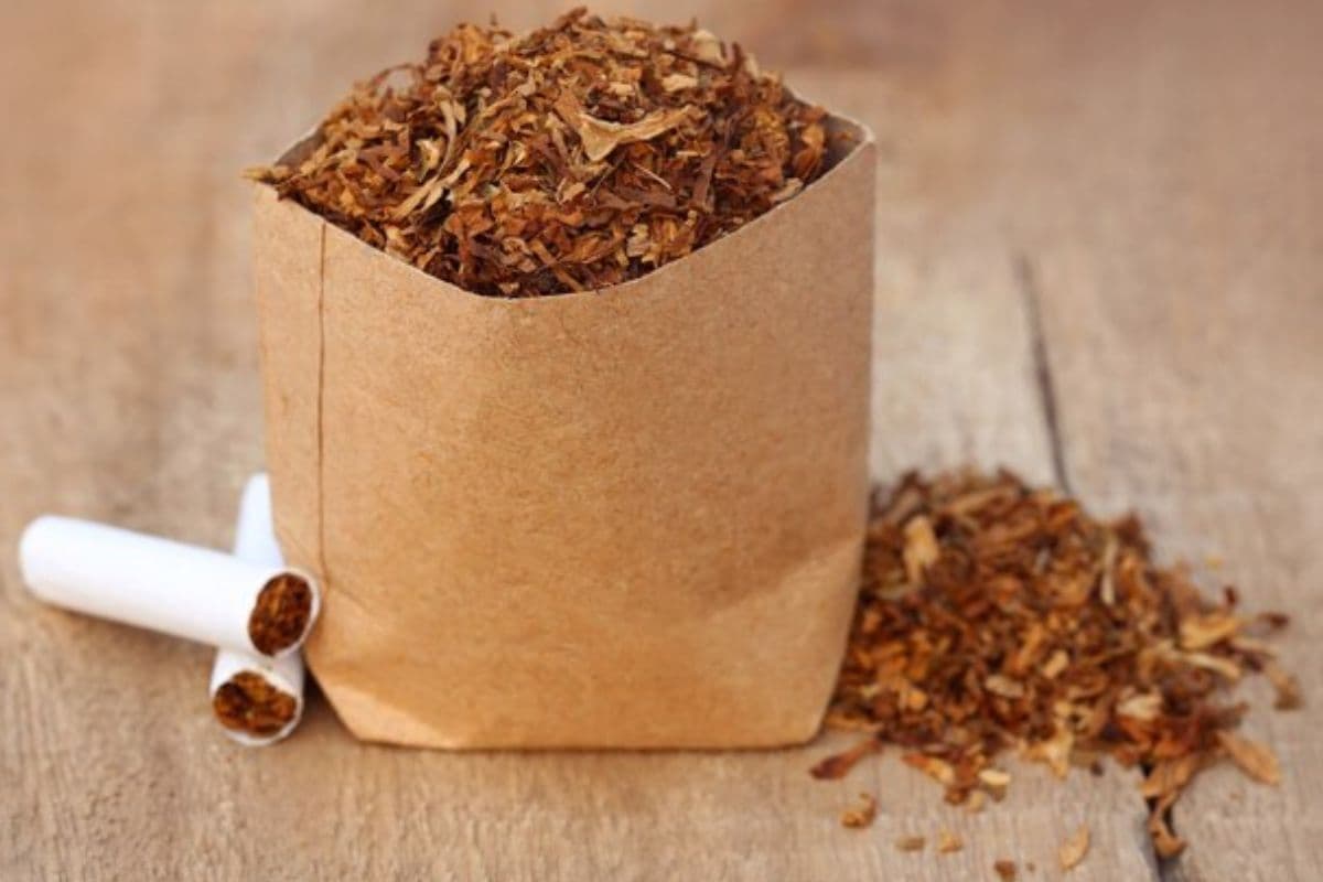 Perbedaan Rokok Kretek dan Filter yang Wajib Kamu Ketahui Perbedaan Rokok Kretek dan Filter yang Wajib Kamu Ketahui