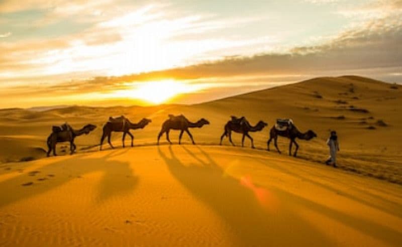 10 Ilmuwan Muslim Paling Berpengaruh di Dunia, Jadi Rujukan Para Peneliti dari Negara Barat 10 Ilmuwan Muslim Paling Berpengaruh di Dunia, Jadi Rujukan Para Peneliti dari Negara Barat