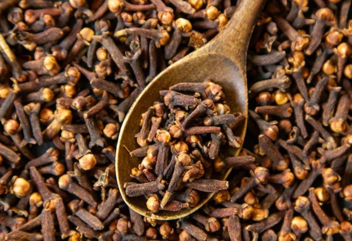 7 Manfaat Cengkeh yang Jarang Diketahui, Ringankan Rasa Sakit hingga Anti Penuaan 7 Manfaat Cengkeh yang Jarang Diketahui, Ringankan Rasa Sakit hingga Anti Penuaan