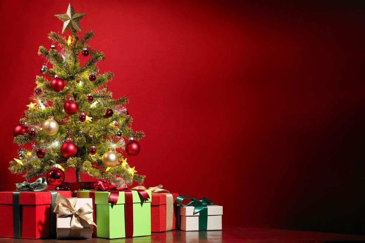 9 Contoh Kata Sambutan Natal Singkat dan Penuh Makna 9 Contoh Kata Sambutan Natal Singkat dan Penuh Makna