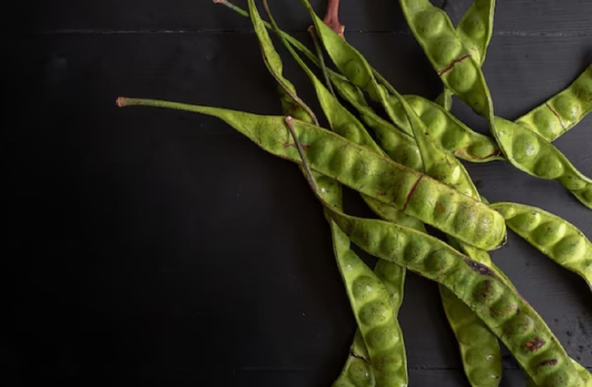 Pete dan Pare Baik untuk Diabetes? Begini Faktanya Pete dan Pare Baik untuk Diabetes? Begini Faktanya