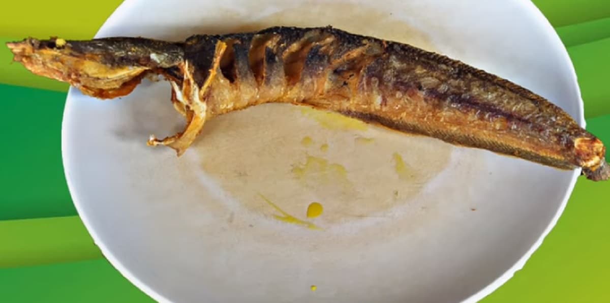 Tips Menggoreng Ikan Lele agar Lurus Tak Melengkung ala Pedagang Pecel Lele Tips Menggoreng Ikan Lele agar Lurus Tak Melengkung ala Pedagang Pecel Lele