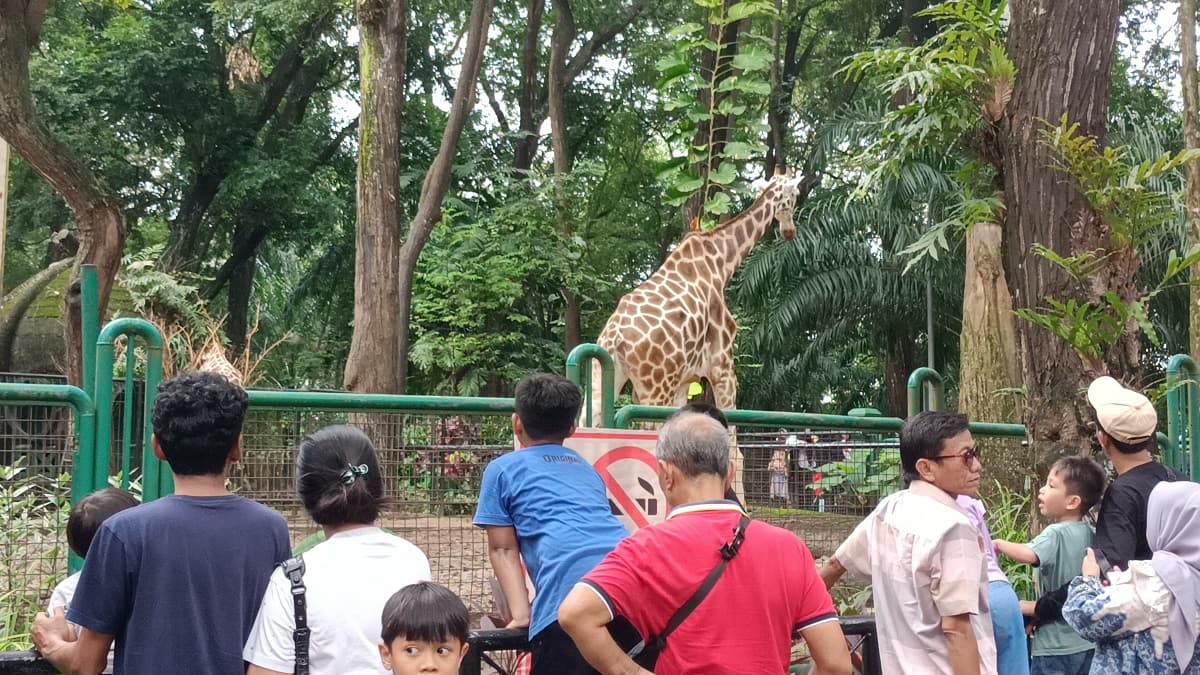 44 Ribu Pengunjung Datangi Ragunan di Hari Raya Waisak 44 Ribu Pengunjung Datangi Ragunan di Hari Raya Waisak