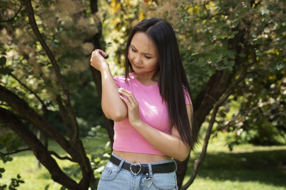 Apakah Penyakit Lyme yang Menyerang Bella Hadid Ada di Indonesia? Apakah Penyakit Lyme yang Menyerang Bella Hadid Ada di Indonesia?