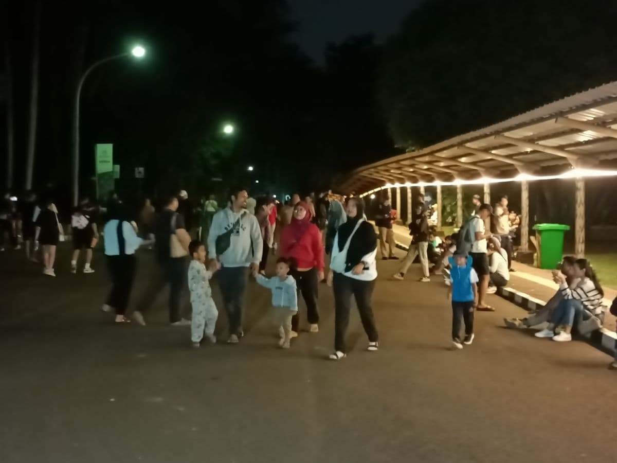 Night at Ragunan Zoo Sedot 3.713 Pengunjung saat Uji Coba, Pengelola Evaluasi Penerangan Night at Ragunan Zoo Sedot 3.713 Pengunjung saat Uji Coba, Pengelola Evaluasi Penerangan