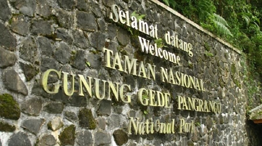 Gunung Gede Pangrango Ditutup Mulai Hari Ini, Imbas Banyak Sampah Pendaki Gunung Gede Pangrango Ditutup Mulai Hari Ini, Imbas Banyak Sampah Pendaki