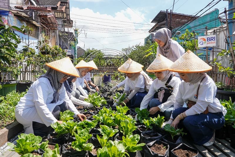 Hari Pangan Sedunia, BRI PeduliDukung Ketahanan Pangan melalui Panen Raya BRInita Hari Pangan Sedunia, BRI PeduliDukung Ketahanan Pangan melalui Panen Raya BRInita