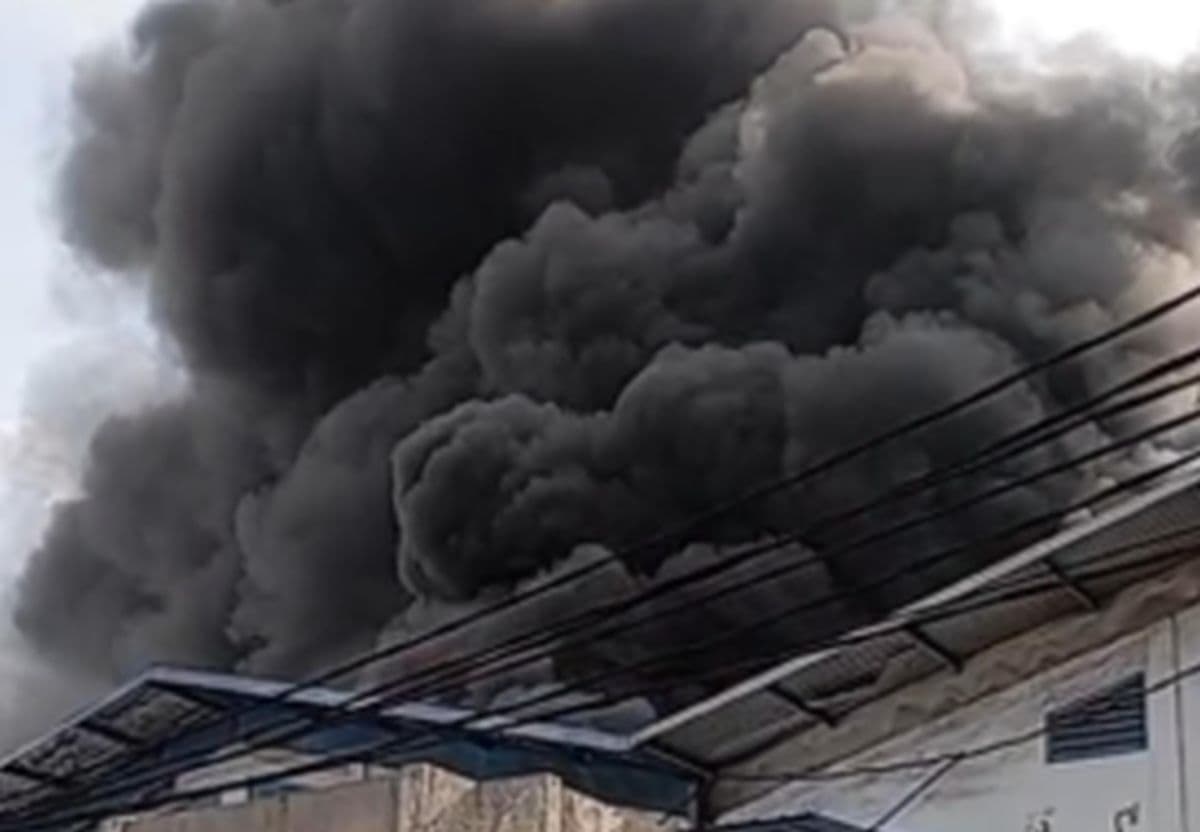 Breaking News! Kebakaran Gudang Miami di Kalideres Jakbar, Asap Hitam Membubung Tinggi Breaking News! Kebakaran Gudang Miami di Kalideres Jakbar, Asap Hitam Membubung Tinggi