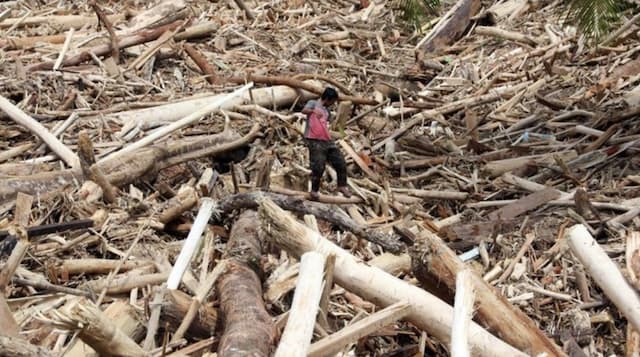 Buru Tersangka, Bareskrim Tingkatkan Kasus Kayu Gelondongan Banjir Sumatera ke Penyidikan Buru Tersangka, Bareskrim Tingkatkan Kasus Kayu Gelondongan Banjir Sumatera ke Penyidikan