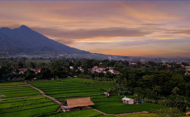 4 Destinasi Wisata Bogor untuk Libur Natal dan Tahun Baru 2025 4 Destinasi Wisata Bogor untuk Libur Natal dan Tahun Baru 2025