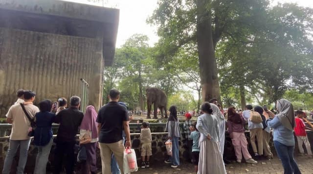 Penghujung Liburan, Ragunan Masih Dipadati 31 Ribu Pengunjung Penghujung Liburan, Ragunan Masih Dipadati 31 Ribu Pengunjung