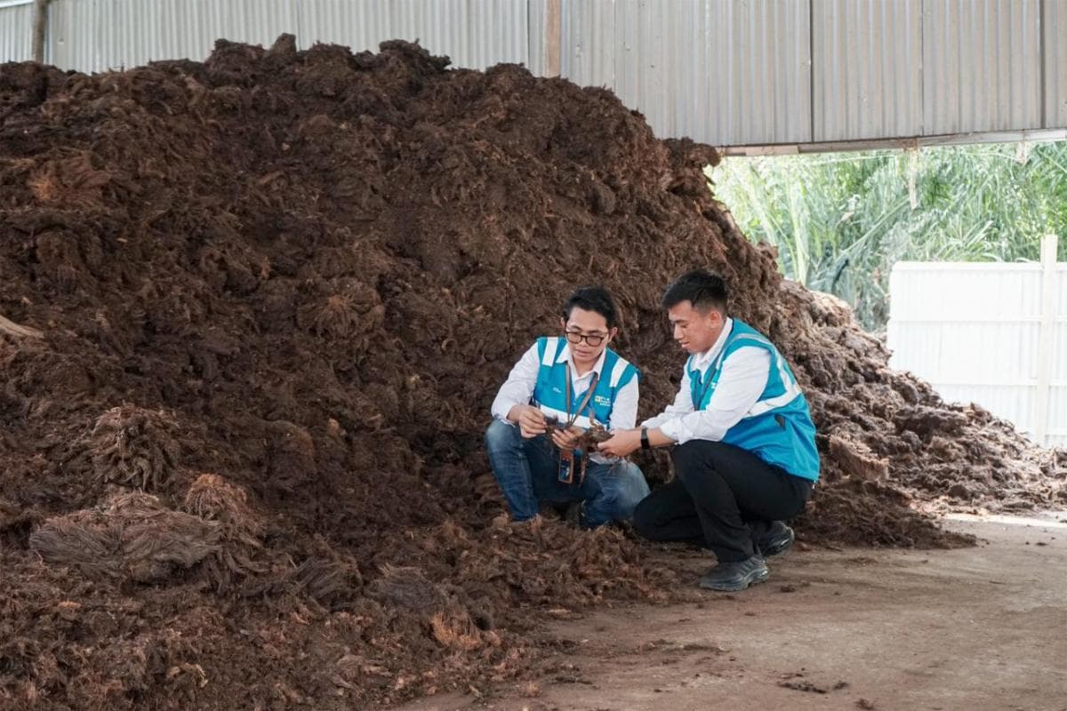 Cara Turunkan Emisi Karbon di RI Lewat Bioenergi Cara Turunkan Emisi Karbon di RI Lewat Bioenergi