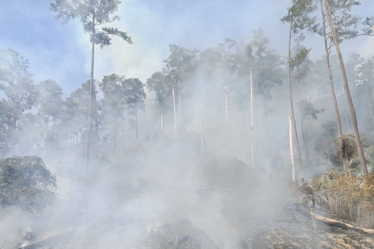 BNPB Catat Rentetan Bencana Karhutla dan Angin Kencang dalam 24 Jam Terakhir BNPB Catat Rentetan Bencana Karhutla dan Angin Kencang dalam 24 Jam Terakhir