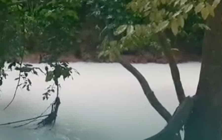 Viral! Kebakaran Gudang Pestisida Bikin Sungai Jaletreng Tangsel Memutih, Sebabkan Ikan-Ikan Mati Viral! Kebakaran Gudang Pestisida Bikin Sungai Jaletreng Tangsel Memutih, Sebabkan Ikan-Ikan Mati